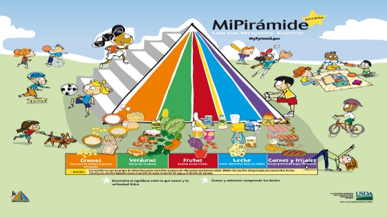 16 De Octubre Actividades Para Trabajar En El Dia Mundial De La Alimentacion Rueda De Los Alimentos Imagenes Educativas