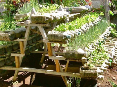 Huerto escolar botellas plastico y otros materiales reciclados (15)