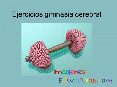 Ejercicios gimnasia cerebral