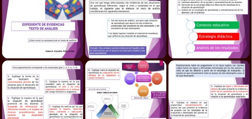 Expediente o portafolios de evidencias. Autoevalua tu texto de análisis Portada