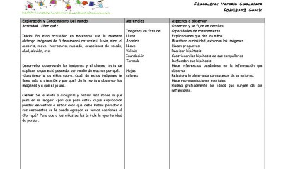 Plan de Diagnostico Ciclo 2015 – 2016 (5)