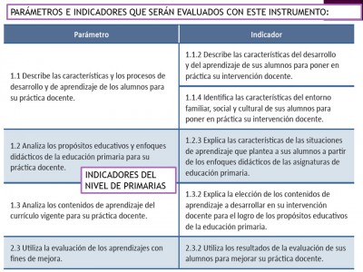 Portafolio o expediente de evidencias (13)