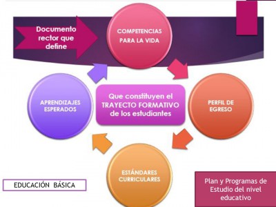 Portafolio o expediente de evidencias (14)