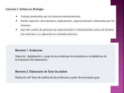 Portafolio o expediente de evidencias (23)