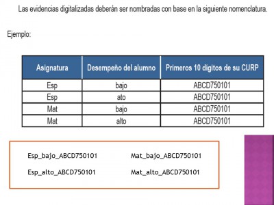 Portafolio o expediente de evidencias (26)