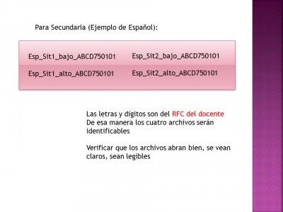 Portafolio o expediente de evidencias (27)