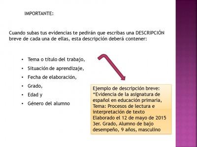 Portafolio o expediente de evidencias (28)