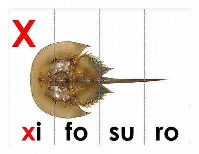 Abecedario ilustrado con pintogramas (23)