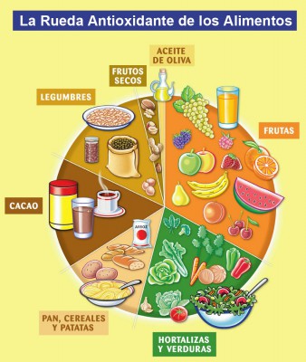 Rueda de alimentos antioxidantes