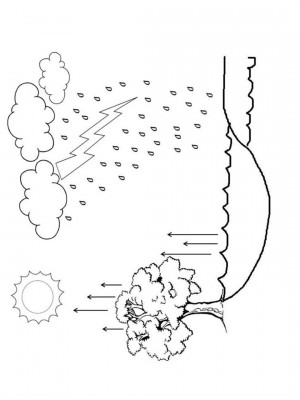 Cuaderno Interactivo Ciclo del Agua (7)