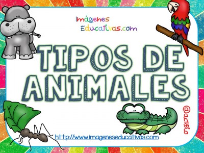 Tipos de animales claseficación (1)