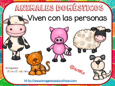 Tipos de animales claseficación (4)