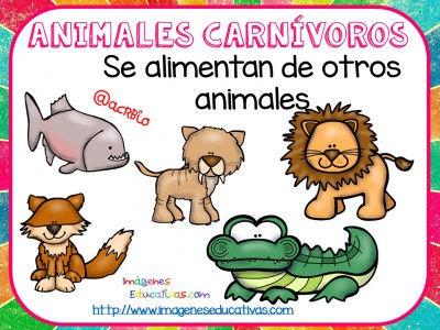 Tipos de animales claseficación (7)