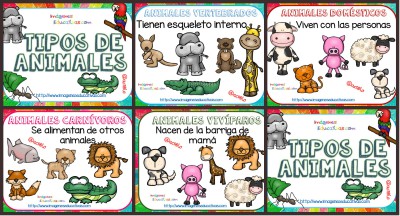 Tipos de animales claseficación PORTADA