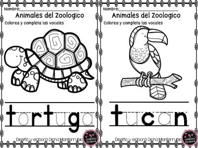 actividades-animales-de-zoologico-1