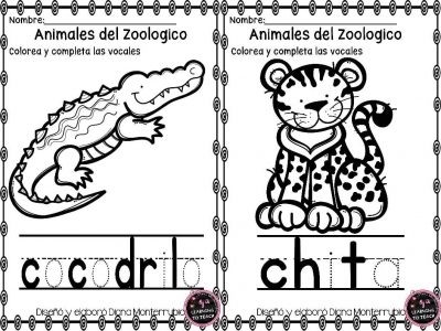 actividades-animales-de-zoologico-12