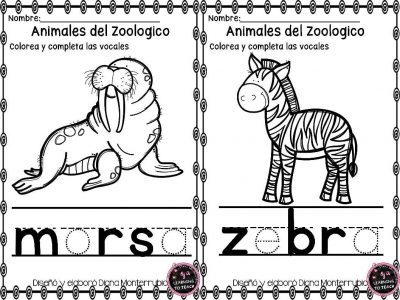 actividades-animales-de-zoologico-13