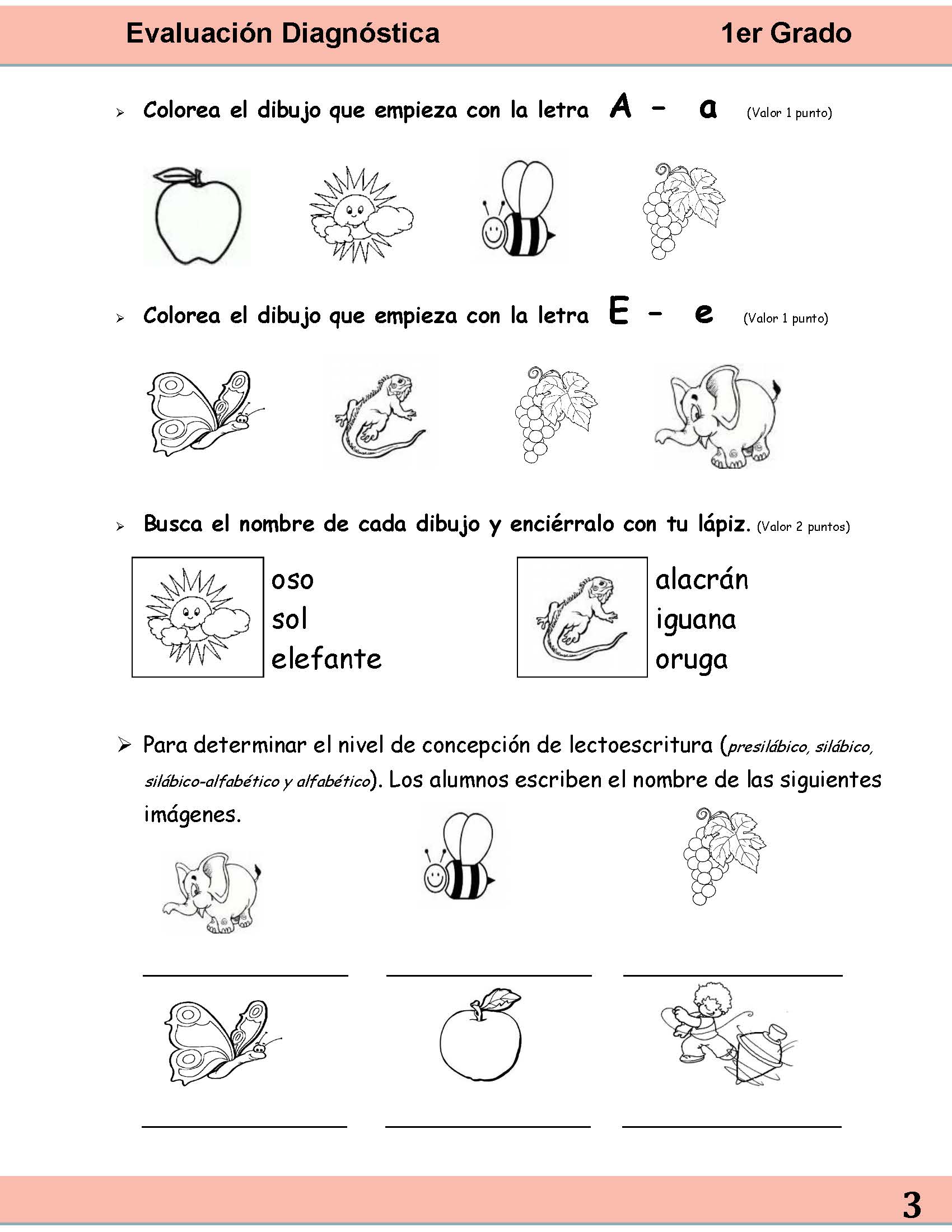 Evaluaci N Diagn Stica Er Grado P Gina Imagenes Educativas