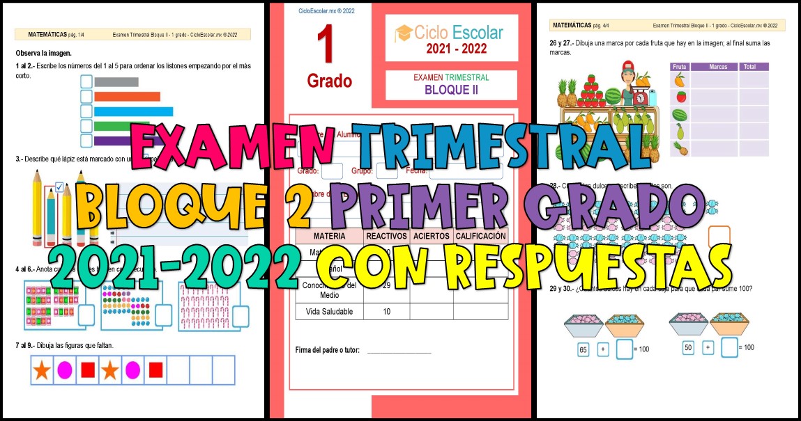 Examen Trimestral Bloque Primer Grado Imagenes Educativas